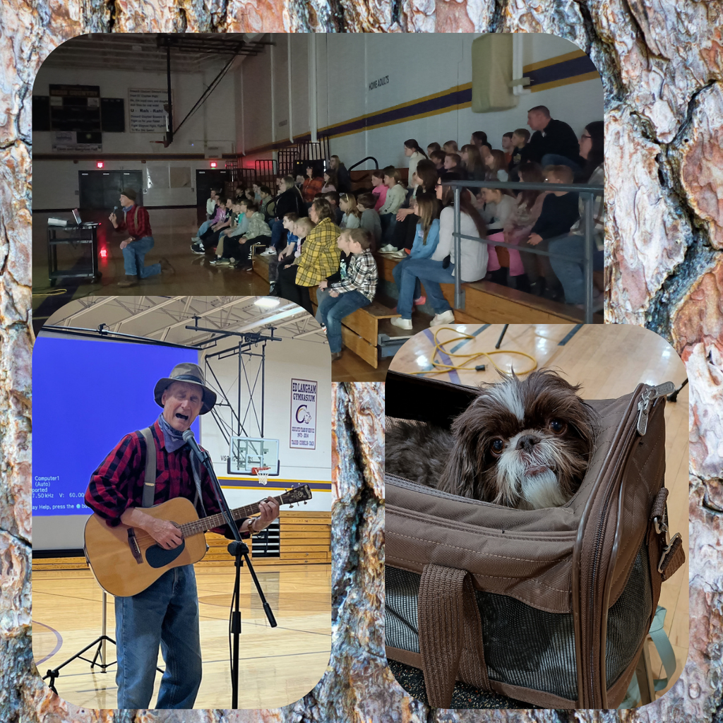 Lumberjack show and Maggie