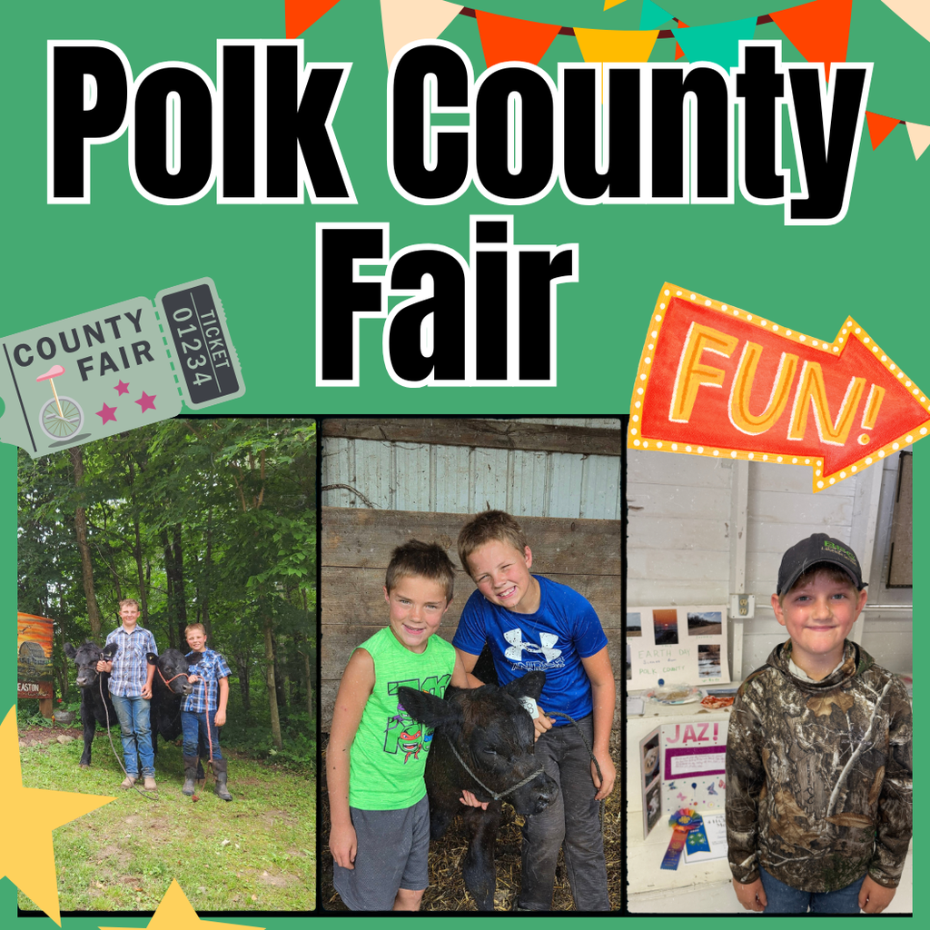 Polk County Fair Pictures showing students showing their animals and showing off their projects at the fair.
