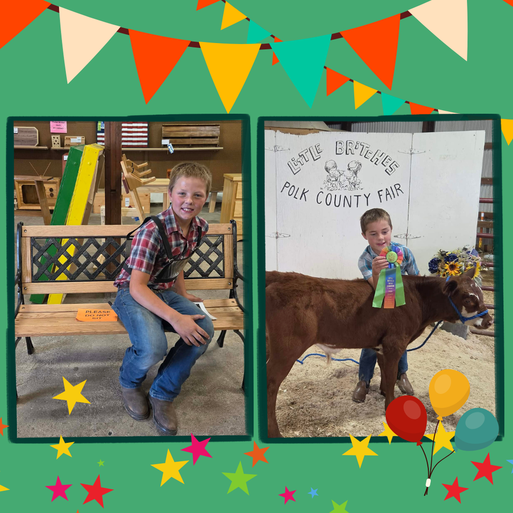 Polk County Fair Pictures showing students showing their animals and showing off their projects at the fair.