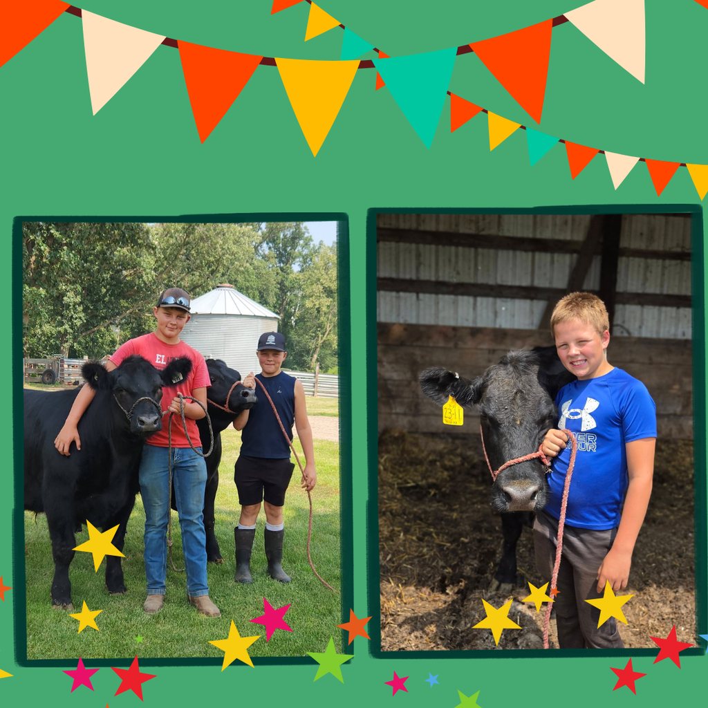 Polk County Fair Pictures showing students showing their animals and showing off their projects at the fair.