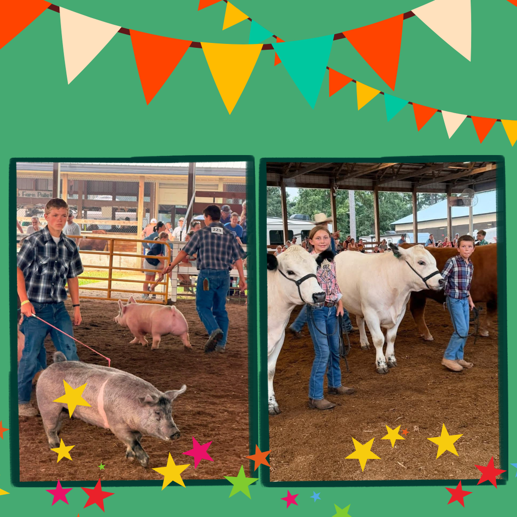 Barron County Fair Pictures of student with their fair animals.
