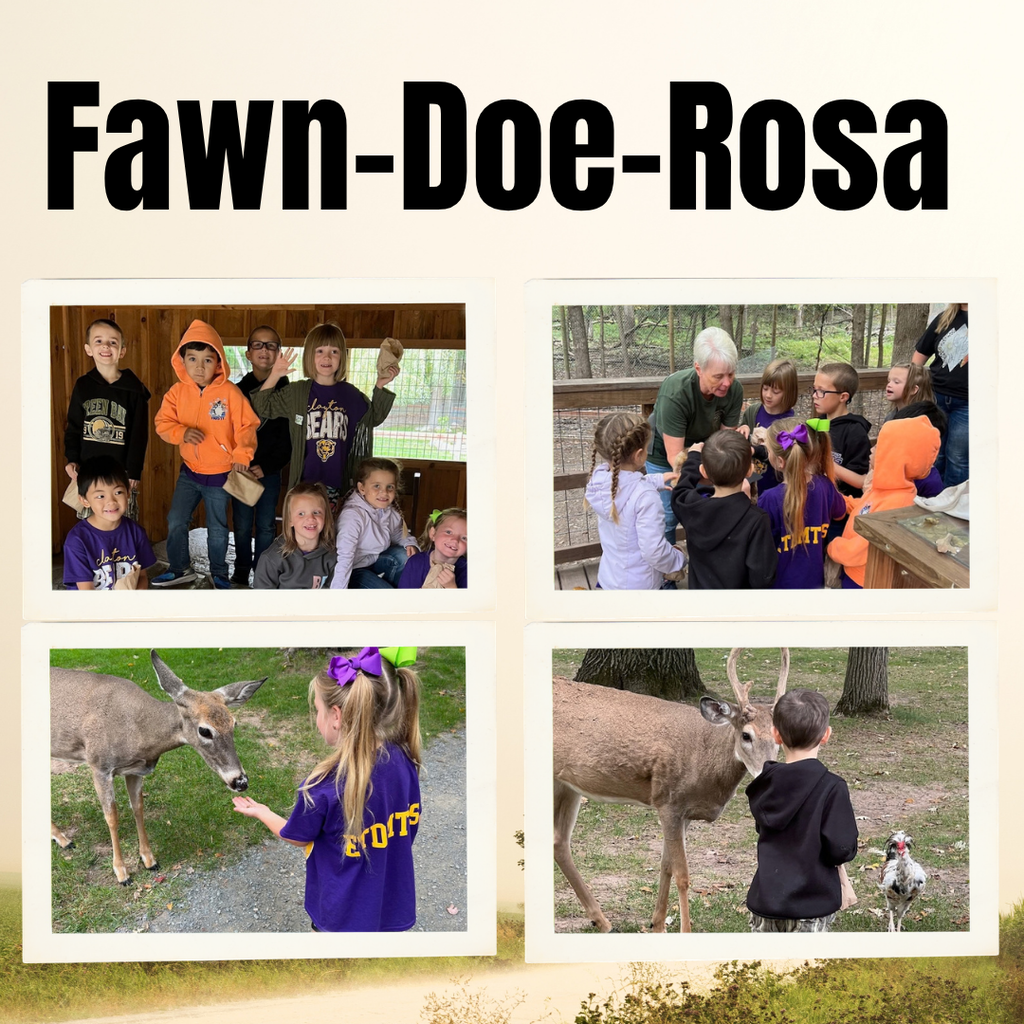 Fawn-Doe-Rose Students in photos feeding and interacting with animals.