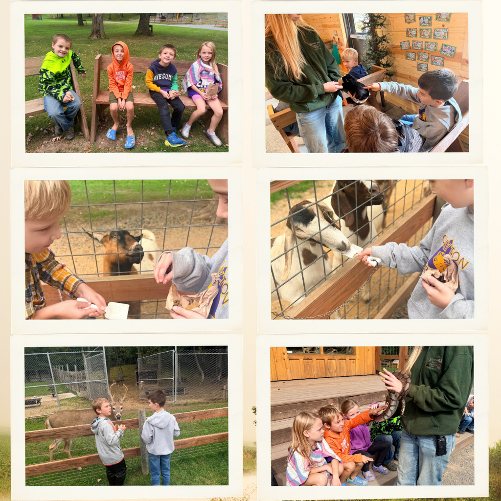 Fawn-Doe-Rose Students in photos feeding and interacting with animals.