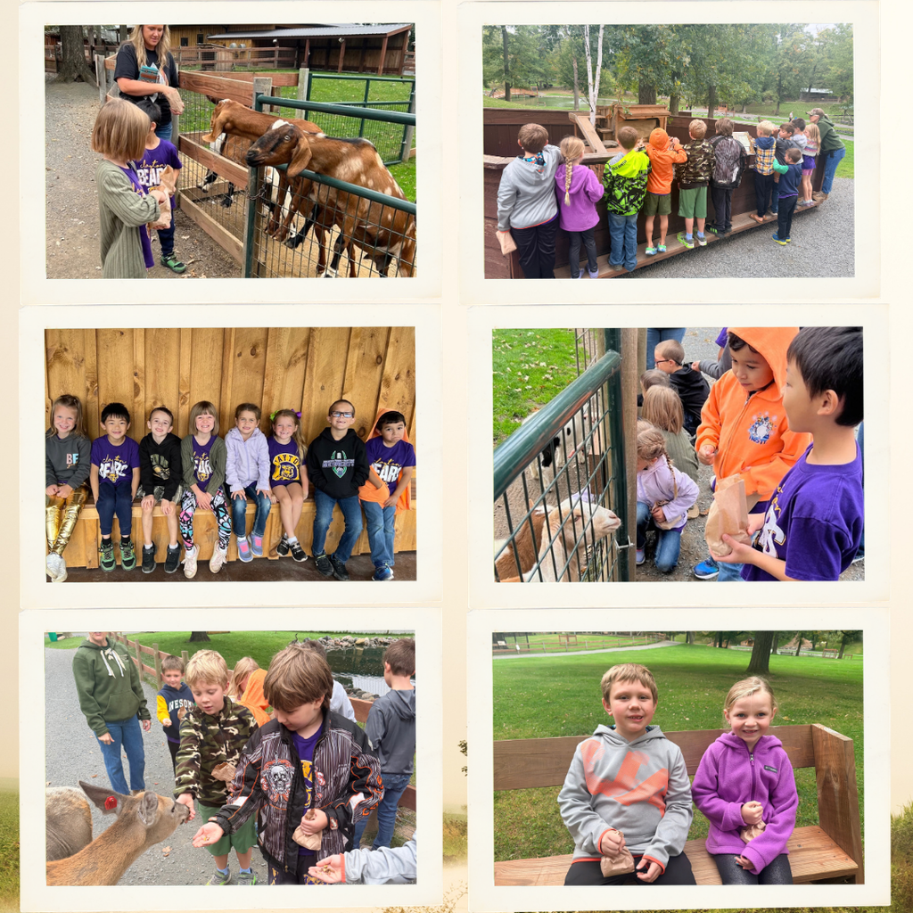Fawn-Doe-Rose Students in photos feeding and interacting with animals.