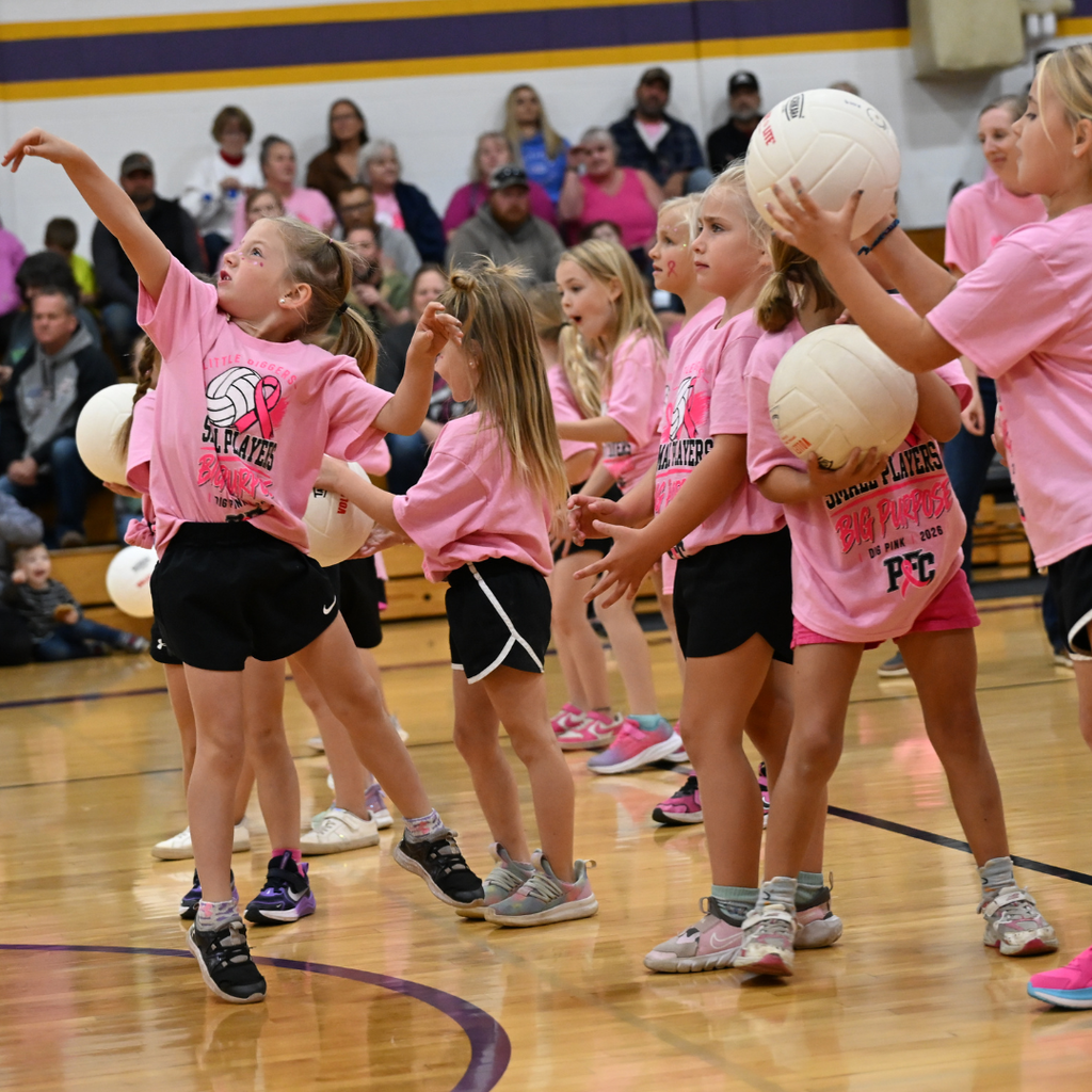 Dig Pink Volleyball Players 