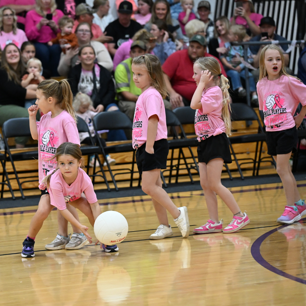 Dig Pink Volleyball players 