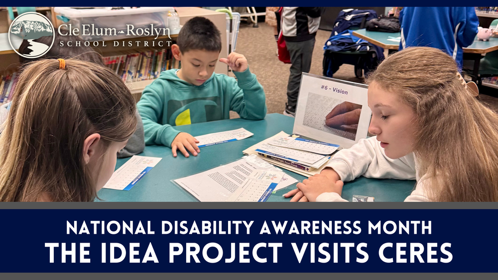 The IDEA Project