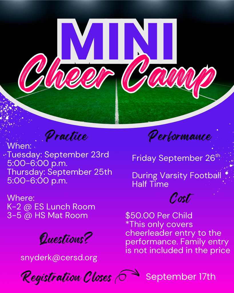 Mini Cheer 2025