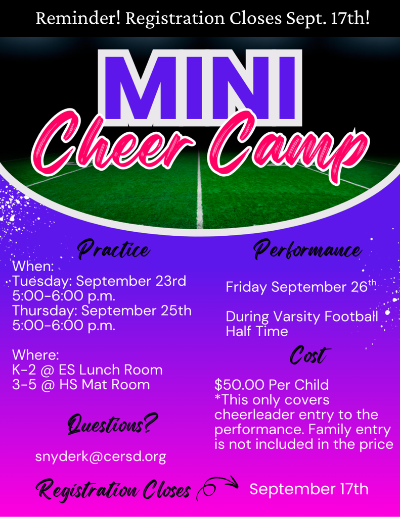 Mini Cheer 2025