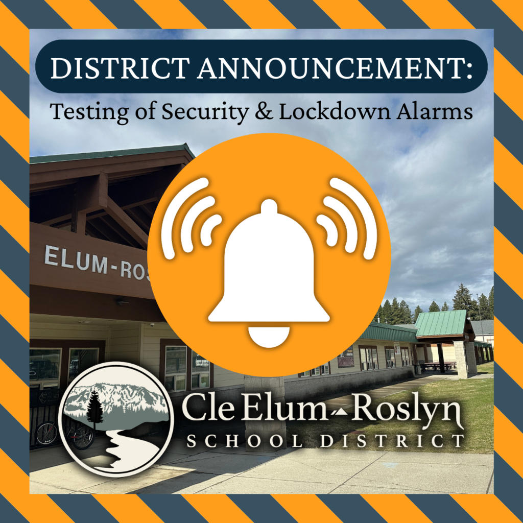 alarm test icon