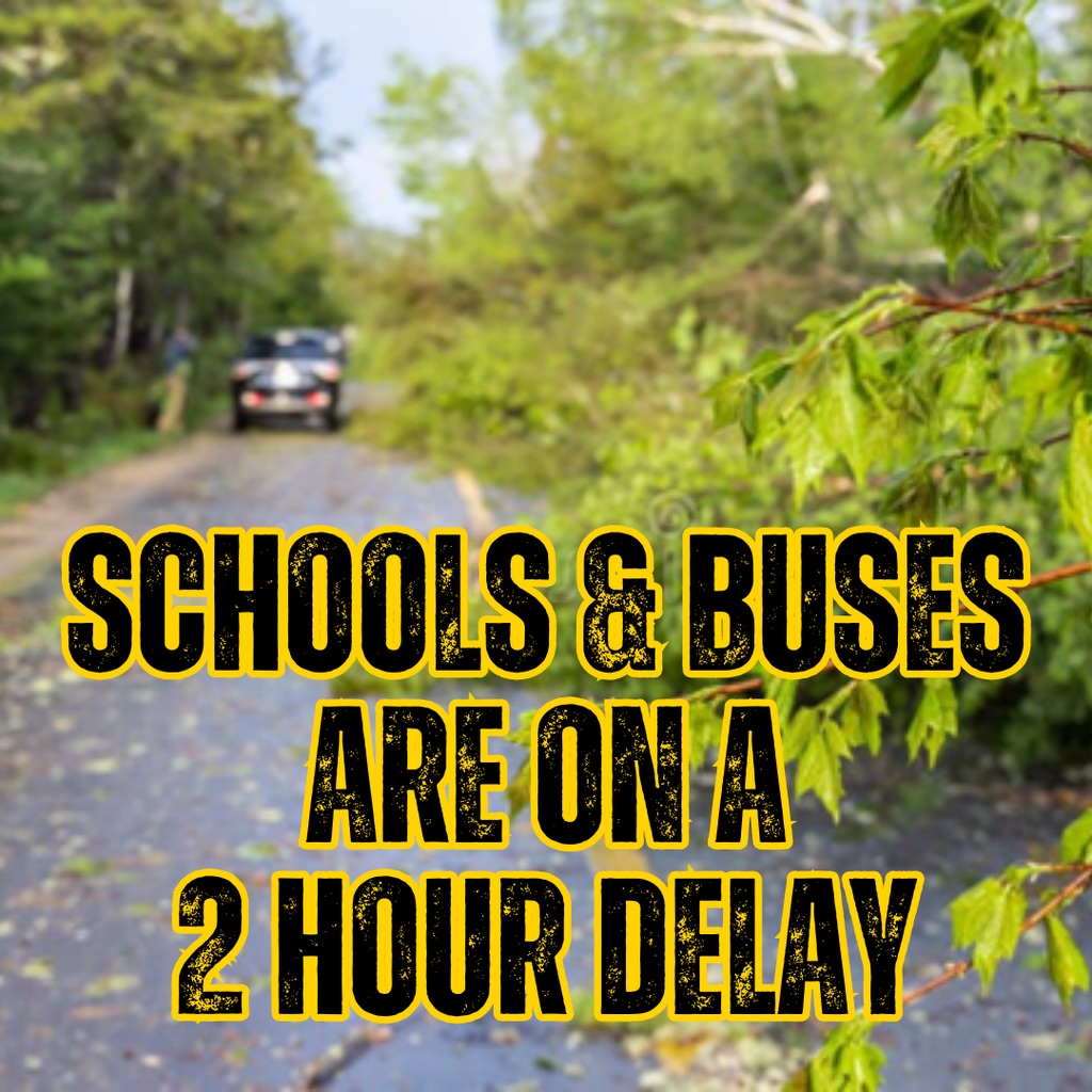 Schools and Buses are on a 2 hour delay