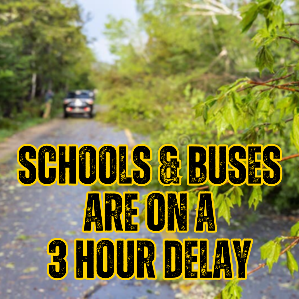 Schools and Buses are on a 3 hour delay