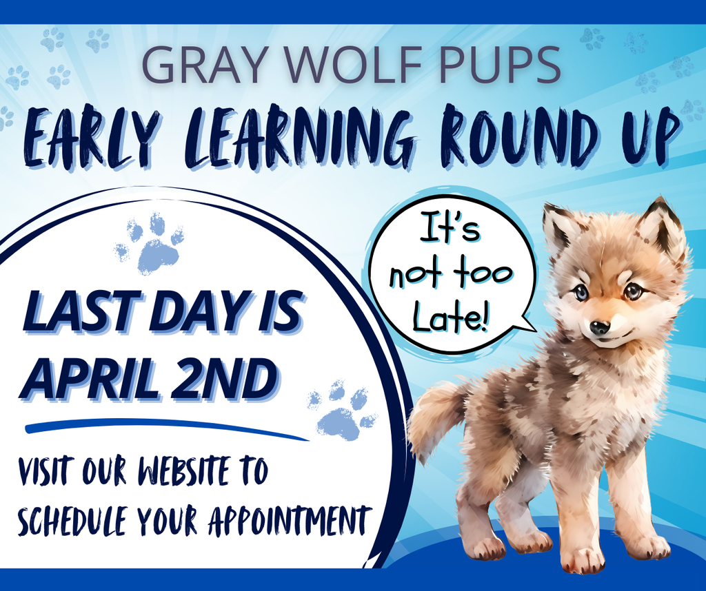 It's not too late! There's still time to schedule an appointment for Early Learning Round Up! April 1st and 2nd are the last days for this invaluable event where families can gain insights into their child’s development, and learn about the free early learning services available through the Cle Elum-Roslyn School District. 