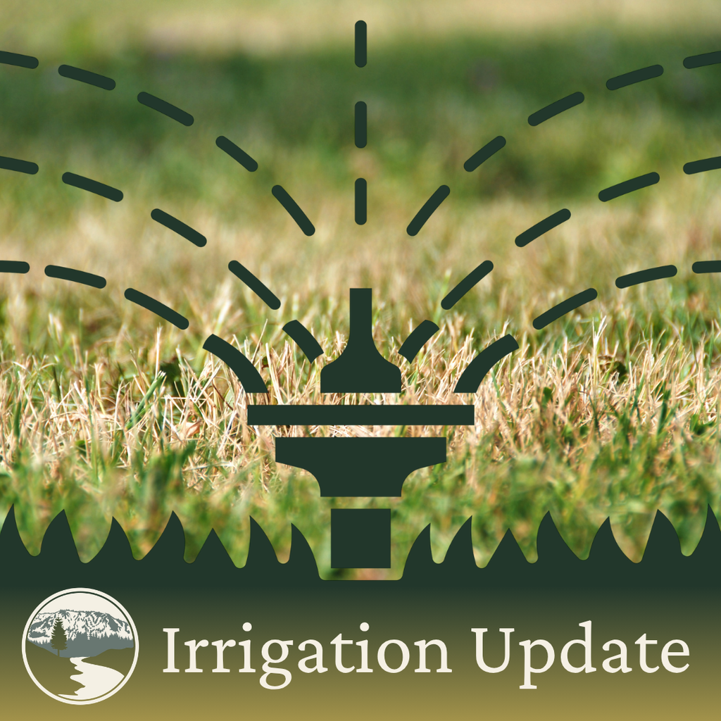 Irrigation Update