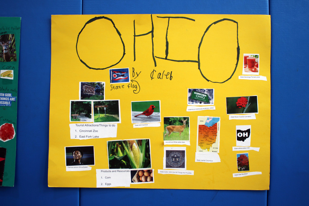 Student poster displaying important things from Ohio including the state bird, flower, flag, and more.