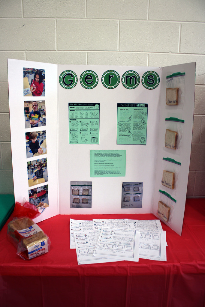 Germs on bread science experiment. Bags of bread taped to the right of the trifold, students pictures on the left, and findings in the middle.