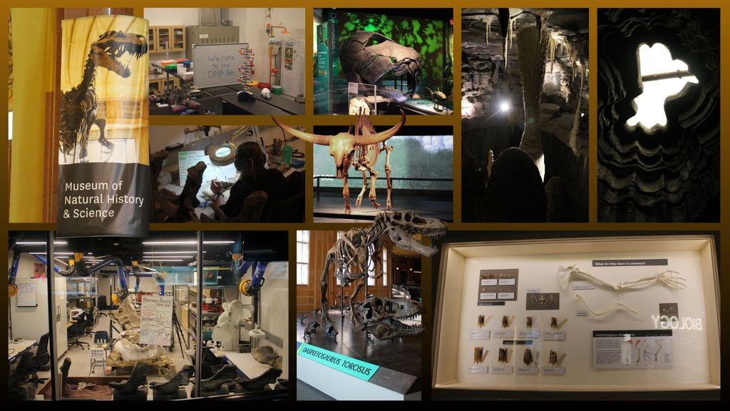Museum of Natural History collage.