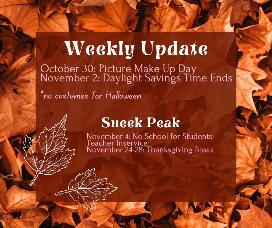 weekly update