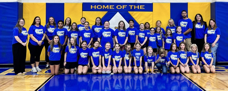 volleyball