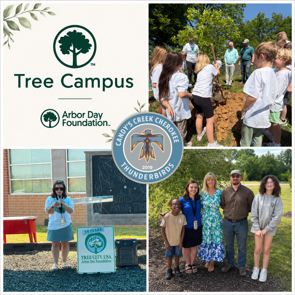 Candyβs Creek Cherokee Elementary School has been named a 2025-2026 Tree Campus by the Arbor Day Foundation, a recognition that celebrates the schoolβs commitment to trees, environmental education, hands-on learning, and community engagement. This recognition is a meaningful milestone for Candyβs Creek Cherokee and reflects the care, teamwork, and community partnerships that continue to help the campus grow as a beautiful and welcoming place for students, staff, families, and visitors. Mrs. Rebecca Lay, an educator at Candyβs Creek Cherokee Elementary School and leader of the schoolβs PTO, helped guide the effort to earn Tree Campus recognition. Through her work with students, families, staff, and community partners, Mrs. Lay supported the application process and helped champion the schoolβs continued focus on environmental education, outdoor learning, and campus beautification. βThe young people of today are the environmental stewards of tomorrow. By nurturing an appreciation for trees in its students, schools like Candyβs Creek Cherokee Elementary School are helping shape a better future for all of us,β said Michelle Saulnier, Vice President of Programs at the Arbor Day Foundation. βWeβre proud of Candyβs Creek Cherokee Elementary Schoolβs dedication to creating meaningful opportunities for students to interact with trees and help cultivate a lifelong respect for nature.β Trees on school grounds provide more than beauty. They offer shade, help reduce extreme heat, improve air quality, support physical health, and contribute to studentsβ mental and cognitive well-being. βThis is such exciting news for Candyβs Creek Cherokee Elementary School,β said Dr. Jeff Elliott, Director of Cleveland City Schools. βThe trees on this campus make it a beautiful place to learn and grow, but this recognition is really about much more than that. It reflects the hard work, creativity, and partnerships that are helping students connect with nature in meaningful ways. We are especially proud of Mrs. Lay for her leadership as both a teacher and PTO leader, and for the heart she has put into making this recognition possible.β To earn Tree Campus recognition from the Arbor Day Foundation, schools must uphold four core standards. These include maintaining a tree campus team, creating an education plan that connects students to trees and their benefits, offering a hands-on experience that engages students with trees and the community, and holding an Arbor Day celebration. The Arbor Day Foundationβs Tree Campus program is operated in collaboration with Project Learning Tree and Sustainable Forestry Initiative. To learn more about the program or how to apply, visit arborday.org.