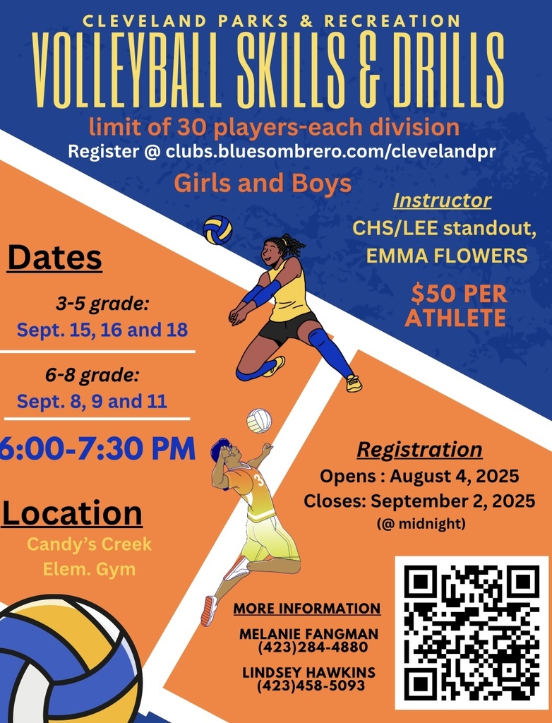 Volleyball Flyer