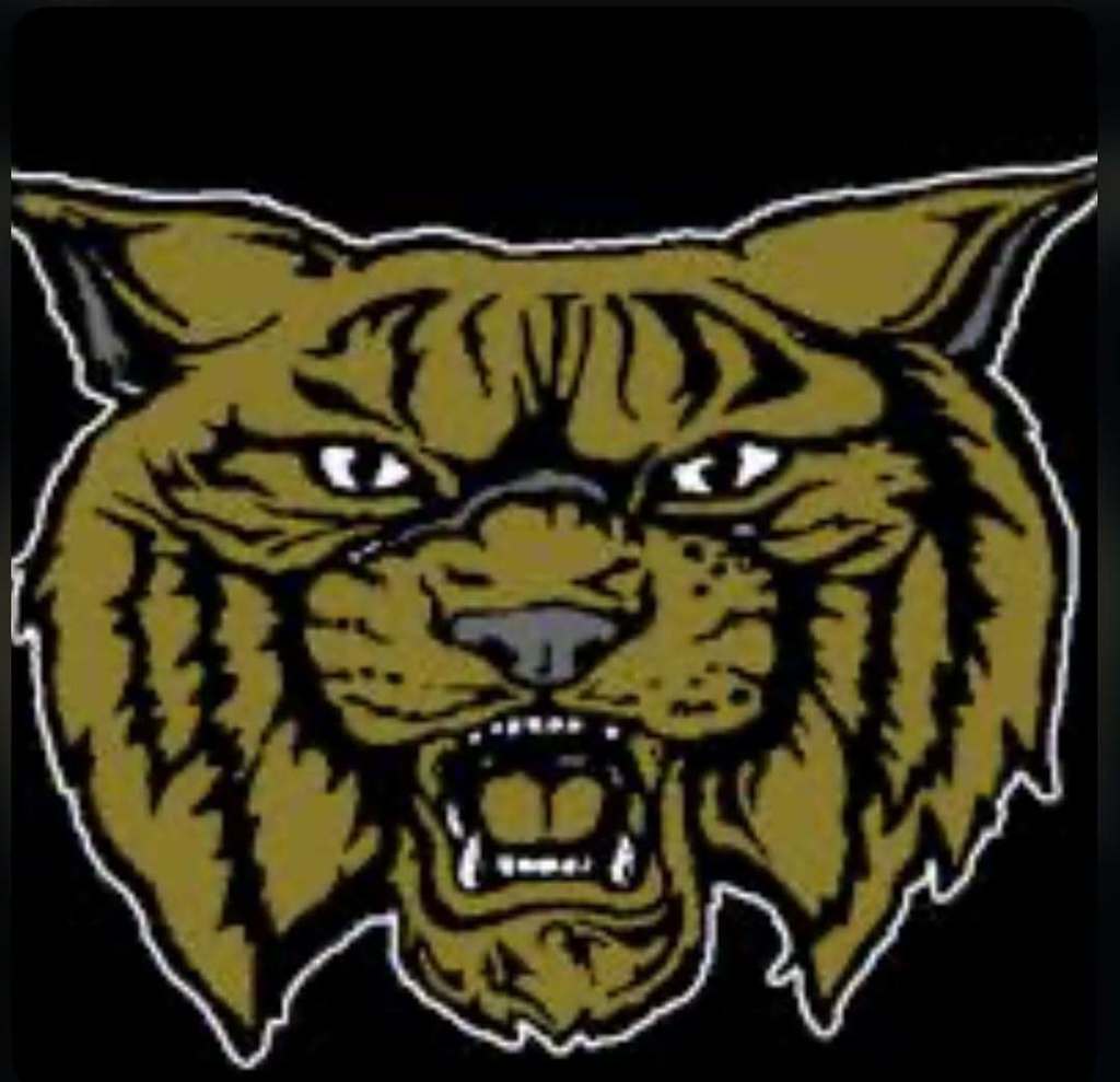 wildcat logo
