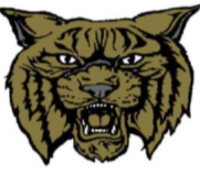 Wildcat Logo