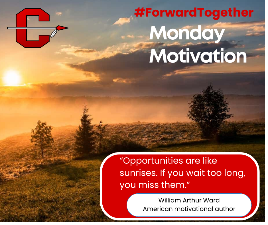 Picture of sunrise over a field - Opportunities are like sunrises. If you wait too long, you miss them.
