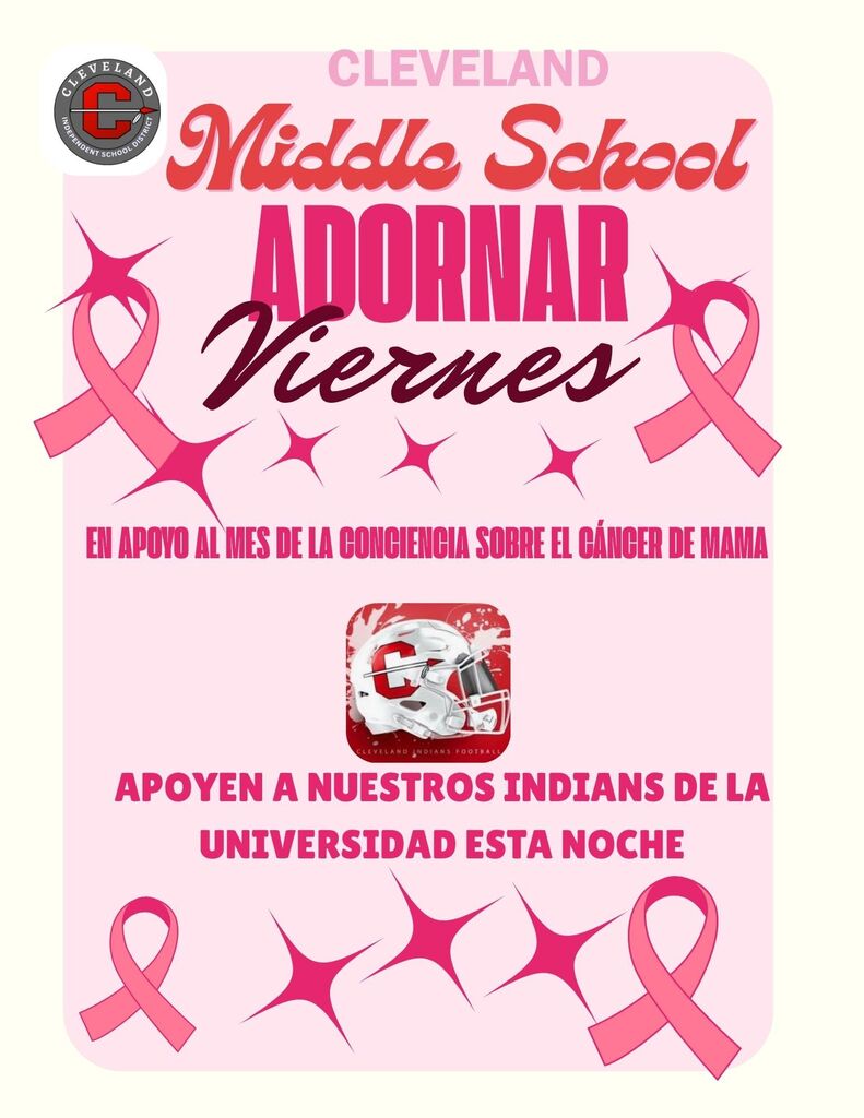 Pink Flyer with PINK text and pink ribbons