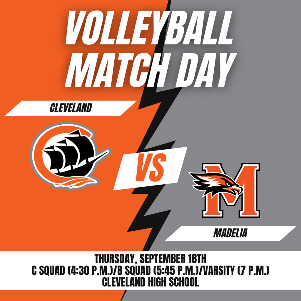 VB Mad
