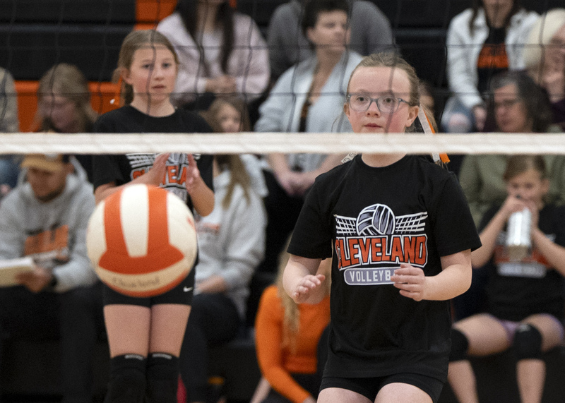 Volleyball