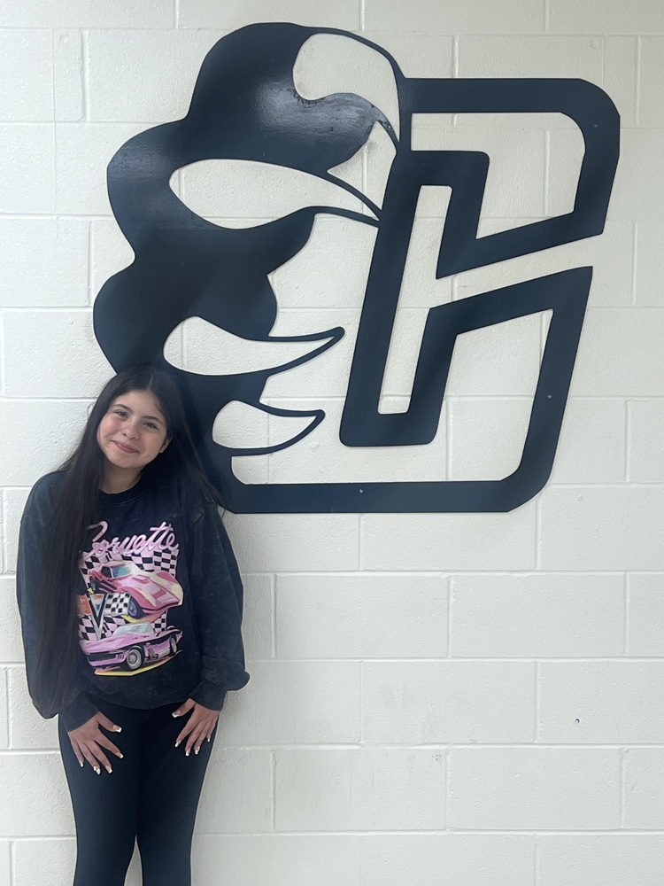 Hanson Hero for April