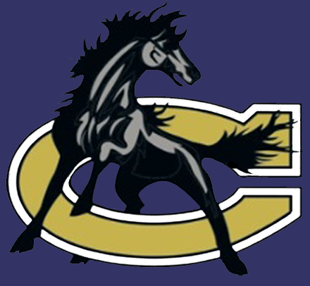 CCS Logo
