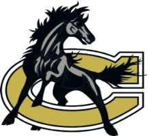 CCS Logo
