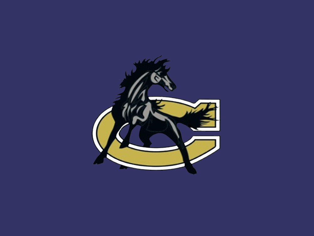 CCS Logo on Background