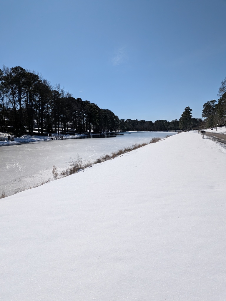 Frozen lake in Clinton, NC