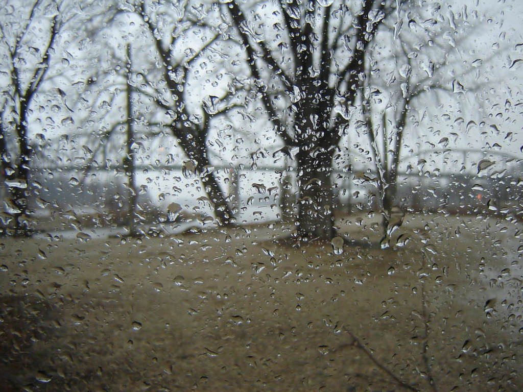 Rainy Day outside a window