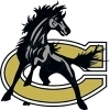 CCS Logo