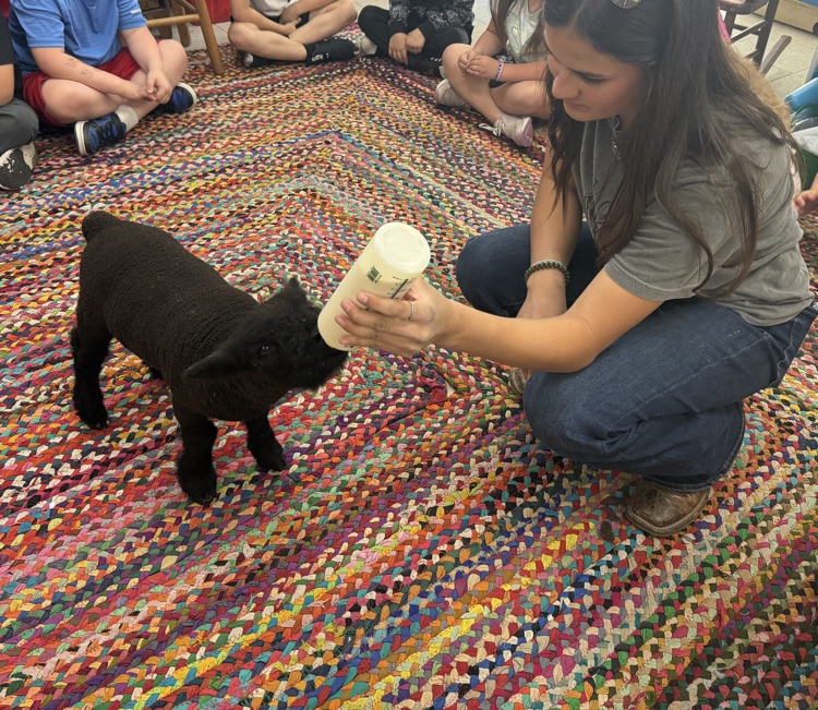 lamb visits CES