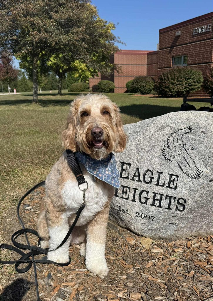 eagle heights dog ellie may