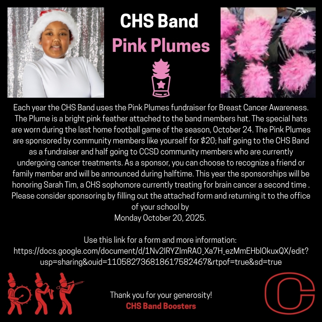CHS Band Pink Plumes 2025