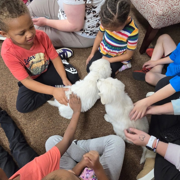 students petting puppies 