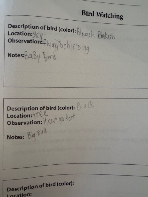bird watching notes