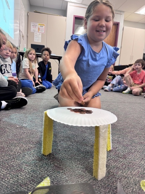 bluff student does experiment