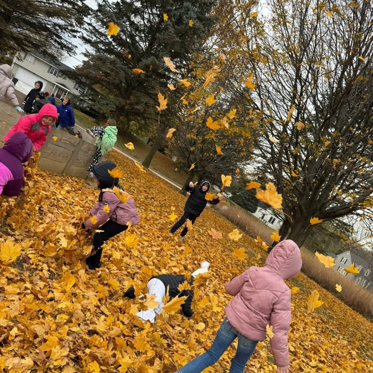 students enjoying the leaves