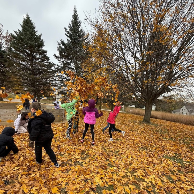 students throwing leaves in the air