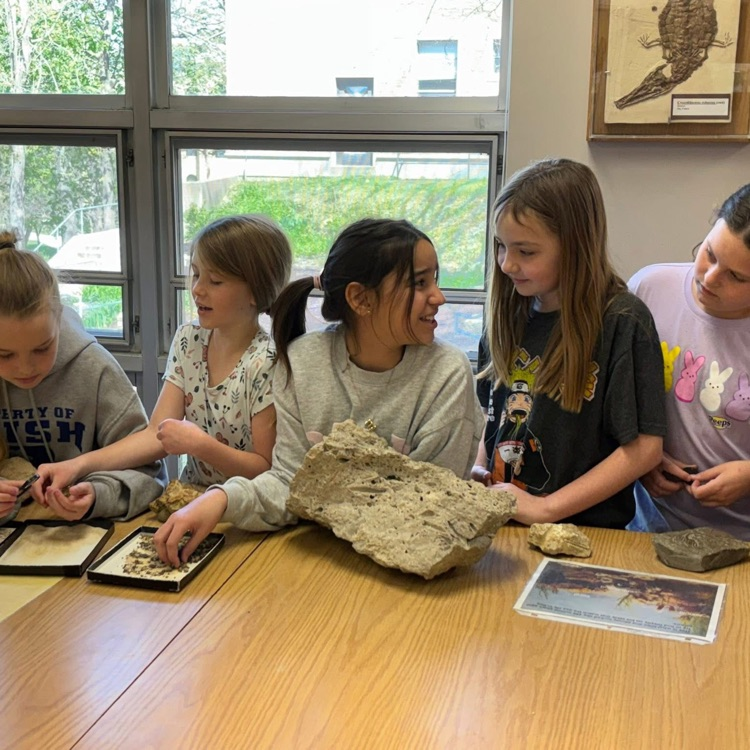 students checking out rocks