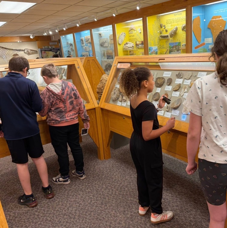 students check out display cases