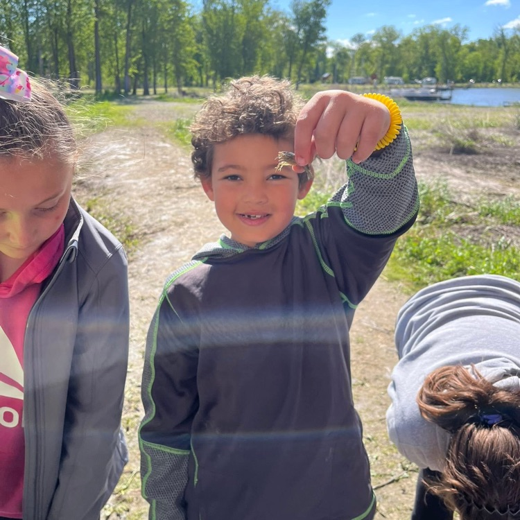 rock creek holding bug