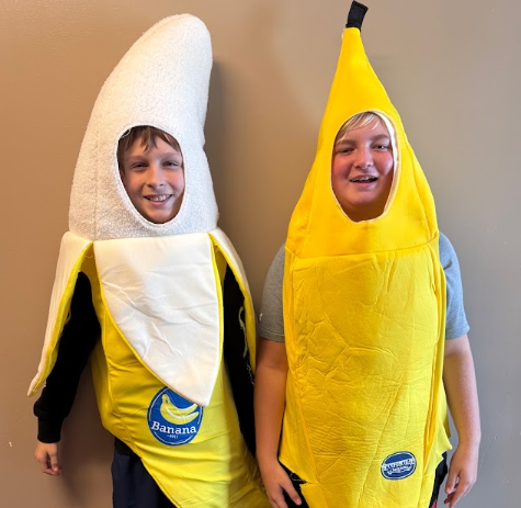 Savannah Bananas